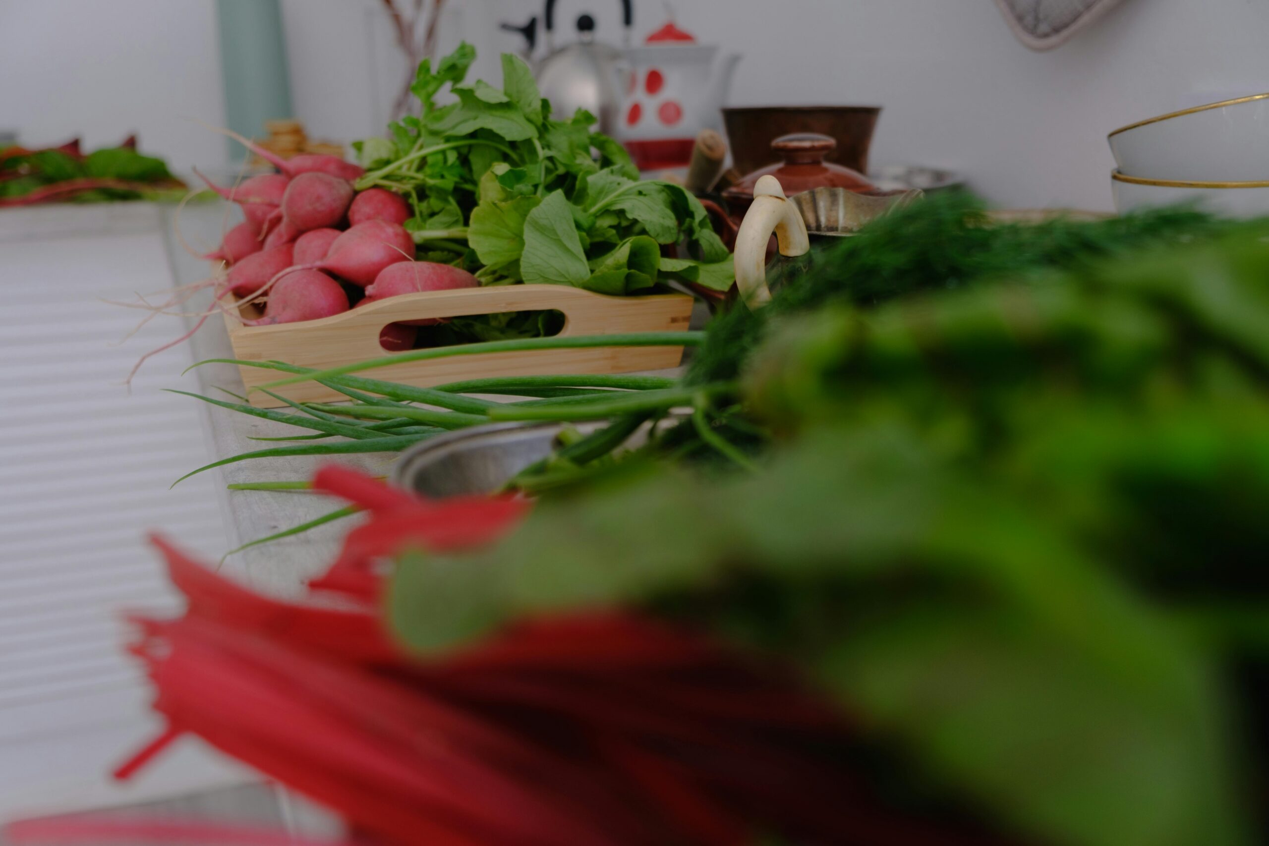 Potager légumes